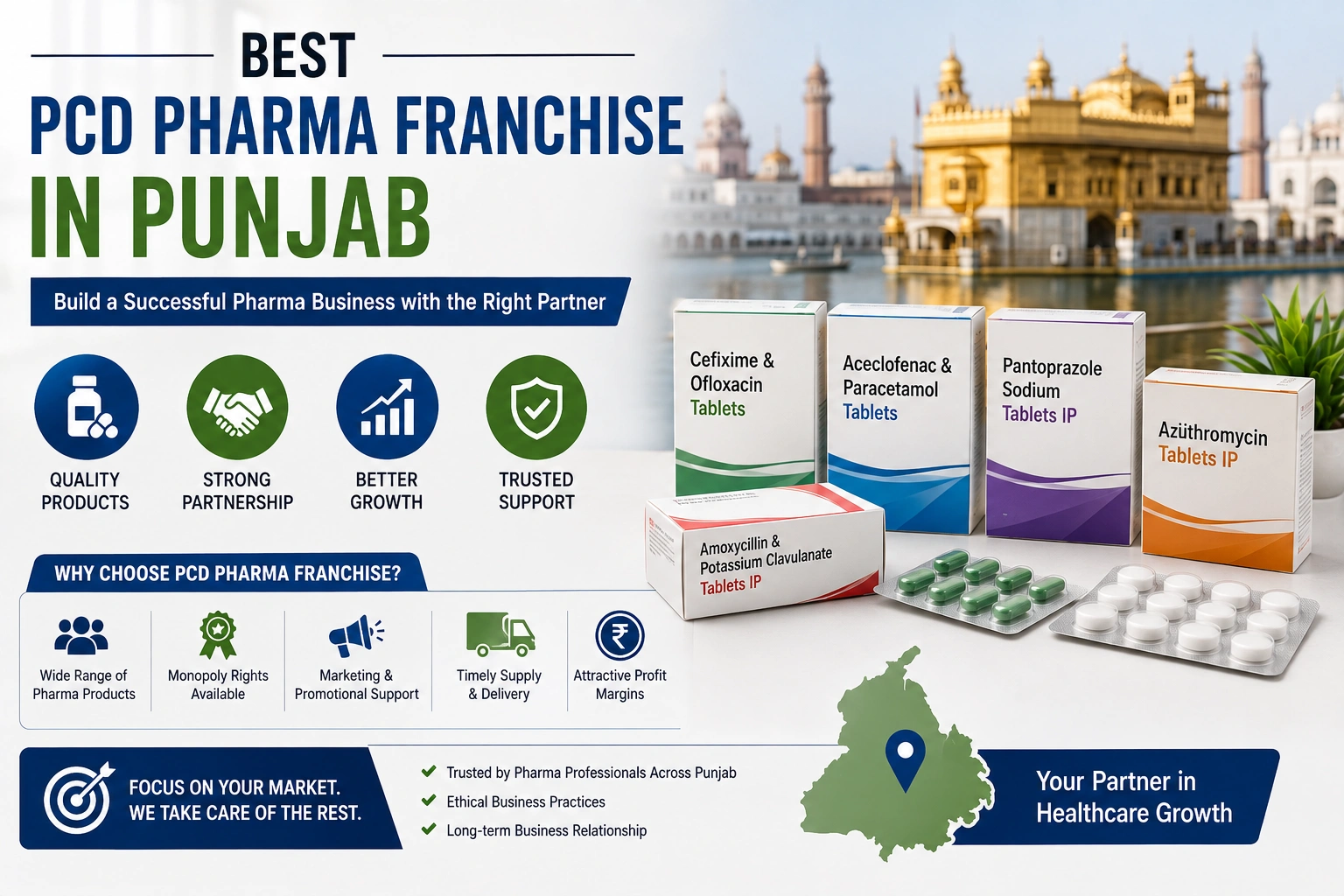 Best PCD Pharma Franchise in Punjab | A Complete Business Guide